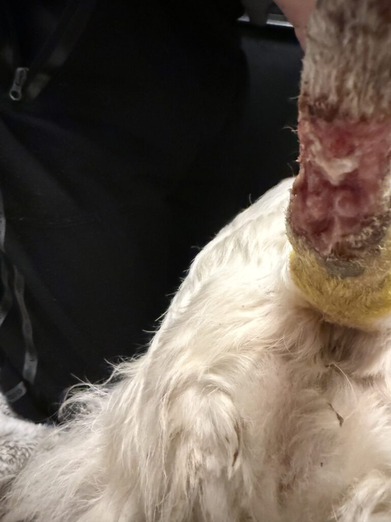 Obrázek #1 od Markéta Mičudová