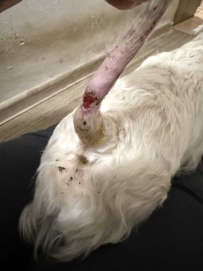 Obrázek #2 od Markéta Mičudová