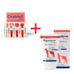 Sada pro obnovu poškozené kůže v oblasti hlavy CICATRIOIL ampule + RIGEDERM krém