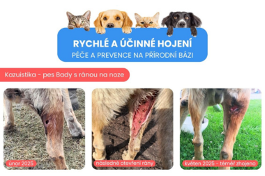 Antiparazitika-pro-psy-blecha-svedeni